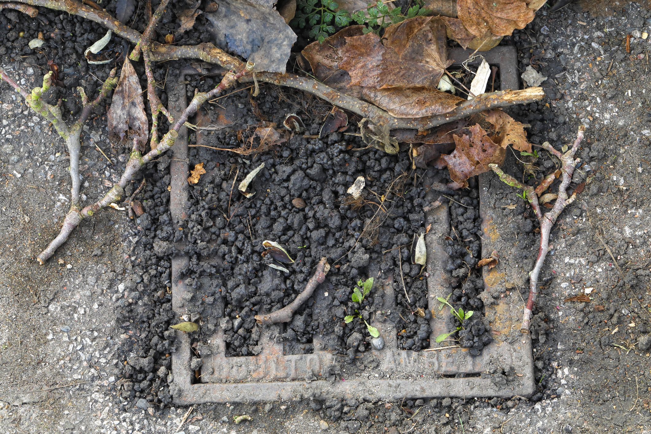 blocked drain with rubble & leaves
